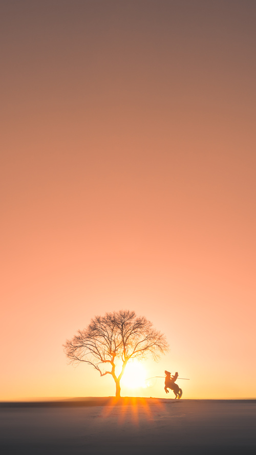 _雄鹿队持续发力,字母哥三双_,字母哥雄鹿队球衣