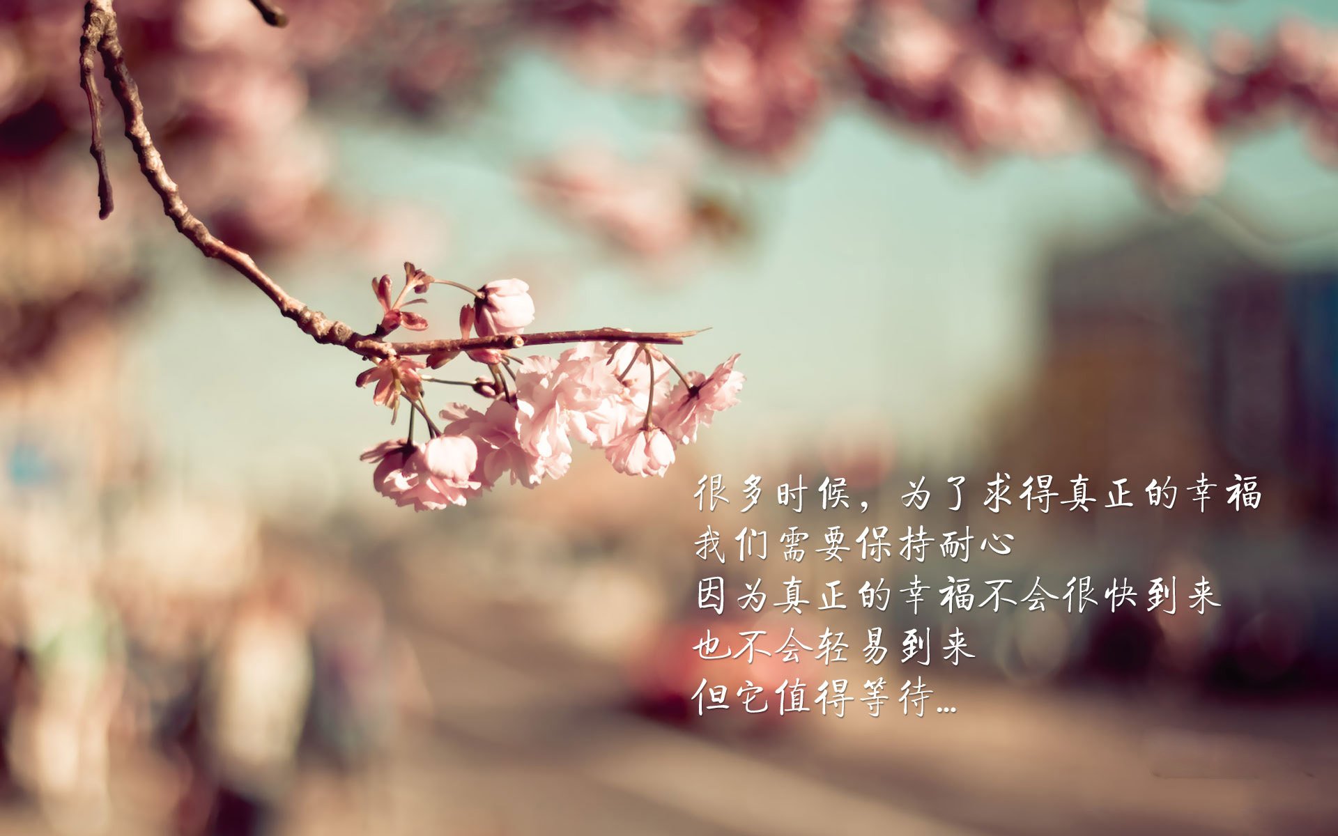 _深海探险潜水:发现海底神秘奇观_,深海探秘视频