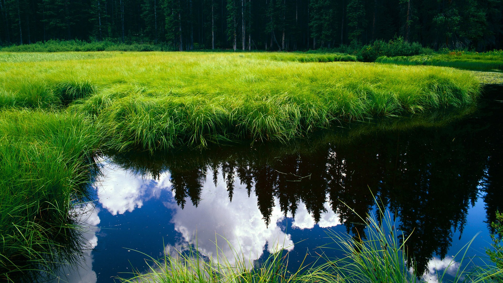 “德甲复苏势头强劲，传统劲旅逐渐追赶”，德甲经典比赛
